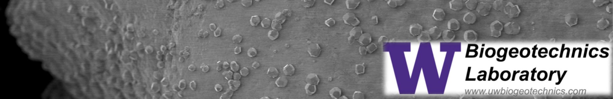 Biogeotechnics Lab @ UW
